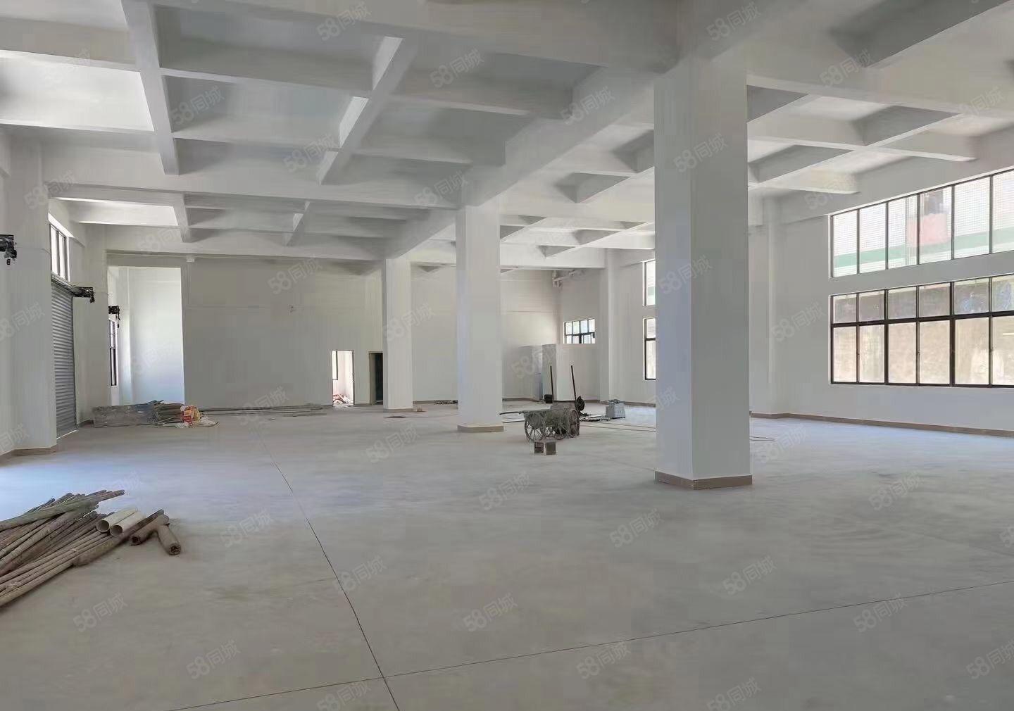 全新厂房，独门独栋，物美价廉