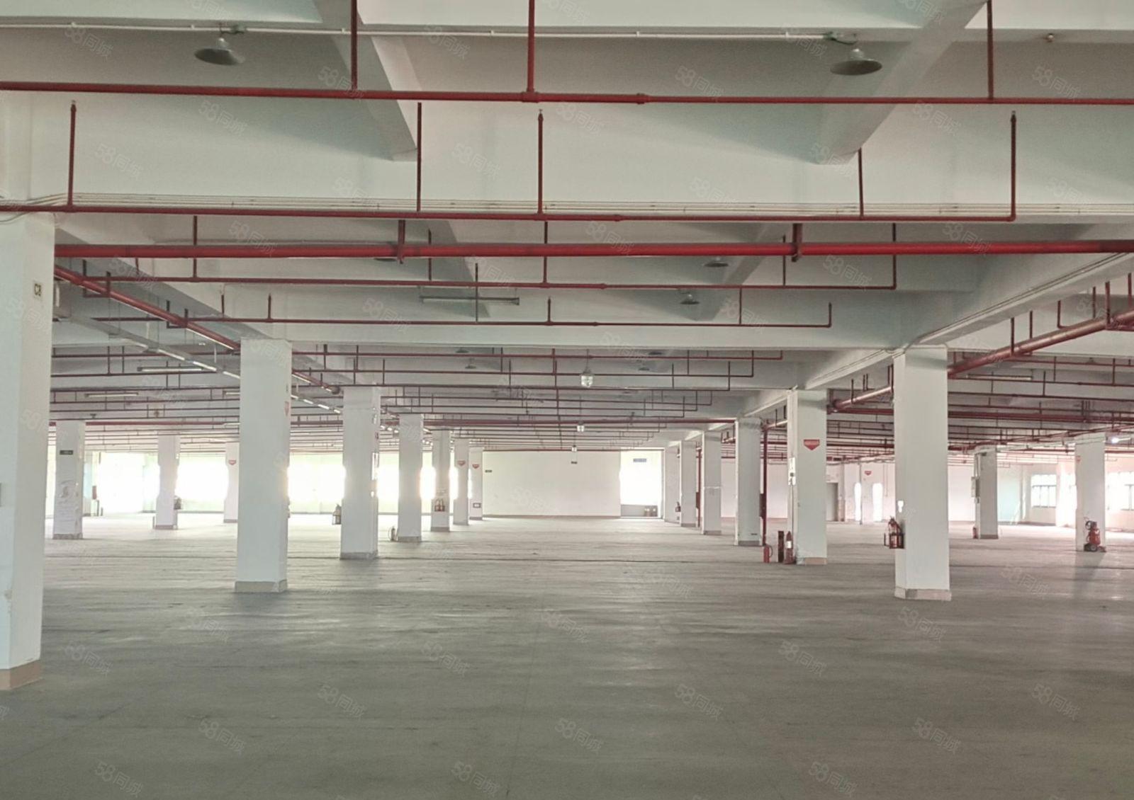 长安镇沿江高速口新出三万平红本厂房分租形象好空地大可办环评