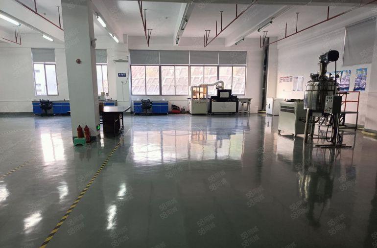 长安镇园区楼上1000平低价标准厂房出租 豪华装修水电齐全