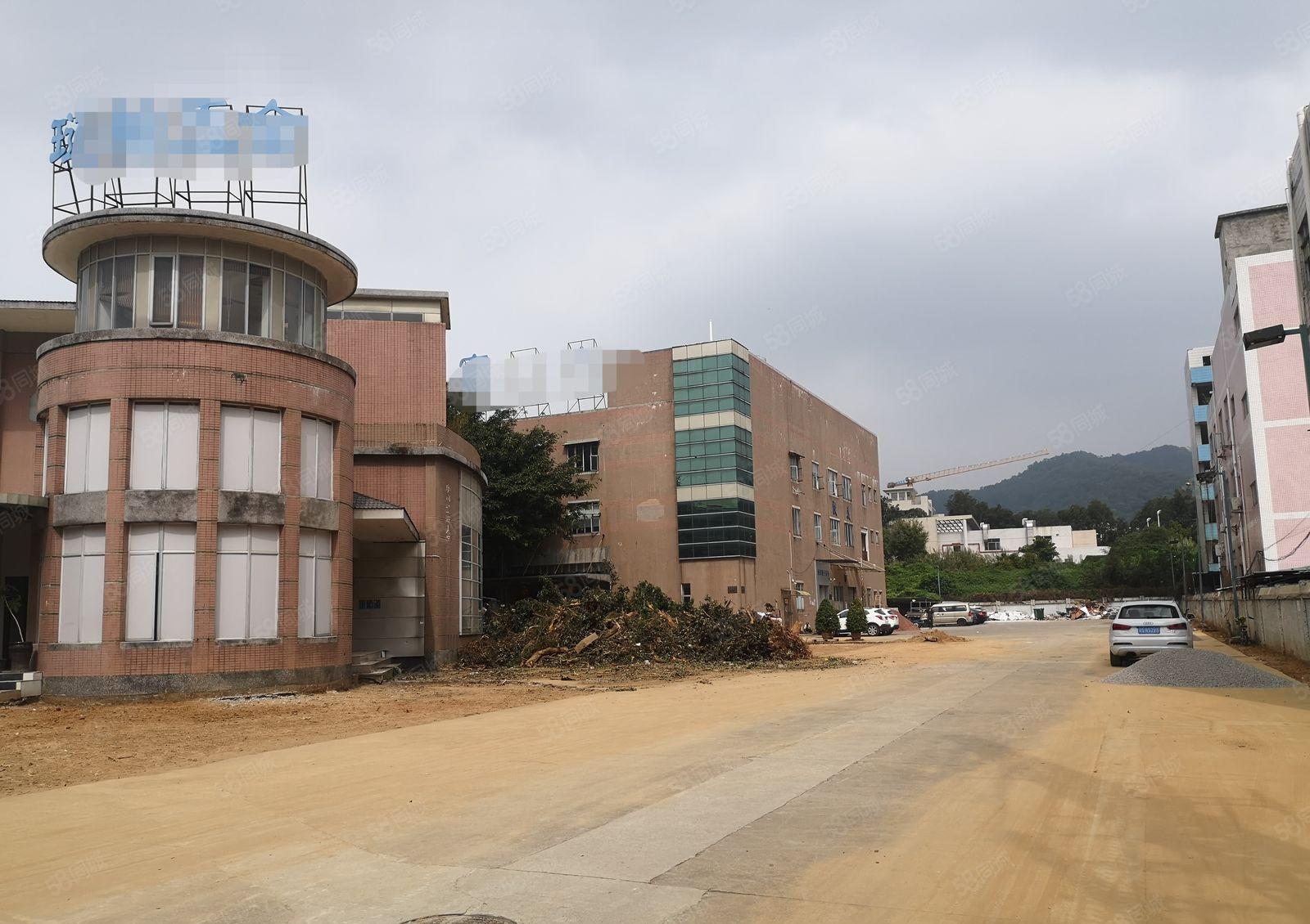 宵边一楼厂房5500平可分租5.5米高形象好空地超大环境优美