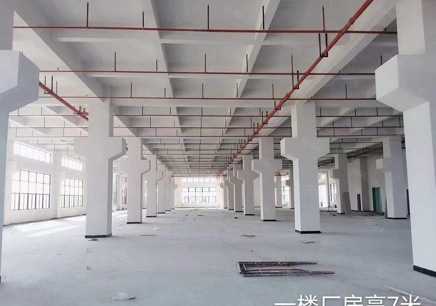 长安乌沙新出原房东独院标准厂房可分租形象好