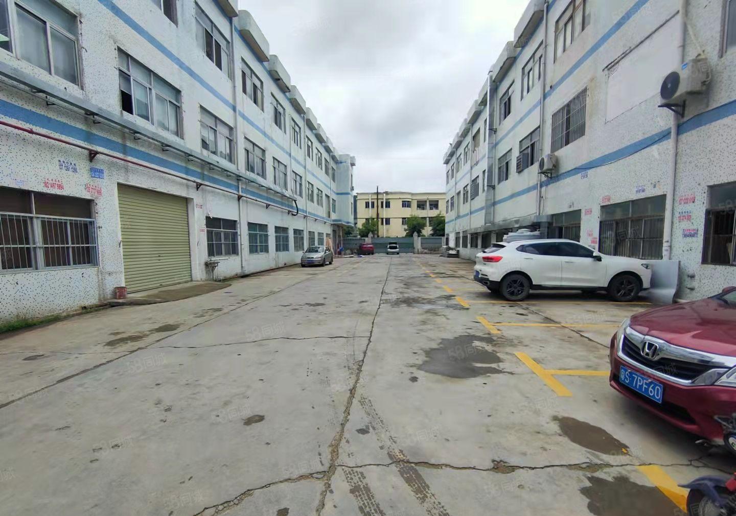 急租长安镇霄边社区空出原房东1楼900平方出租 无杂费