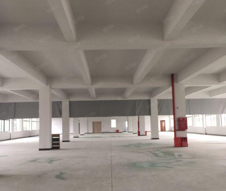 长安乌沙原房东标谁独院低价出租，实际面积可办环评 易招工