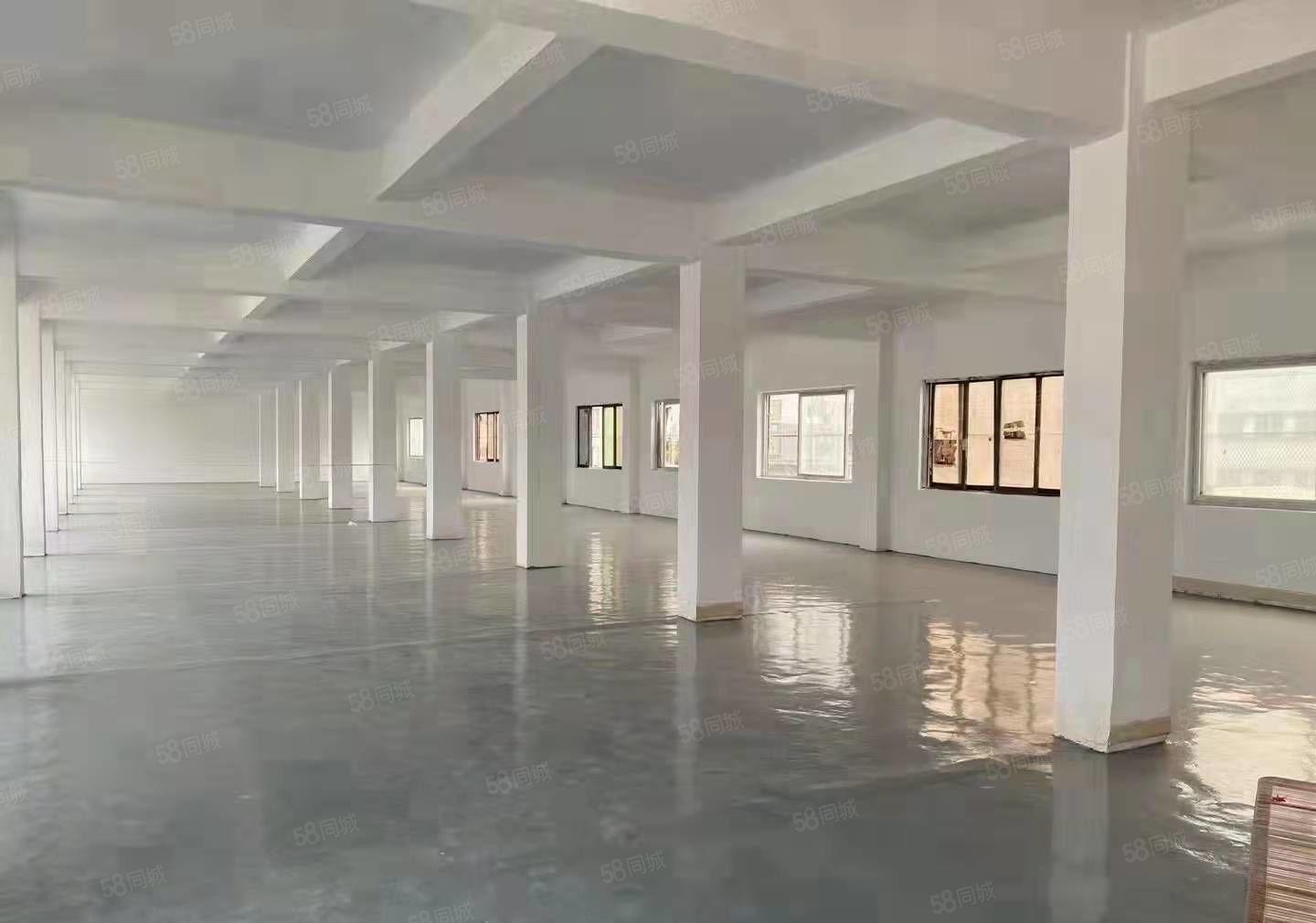 长安镇厦边新出独门独院3600平形象好精装修厂房出租