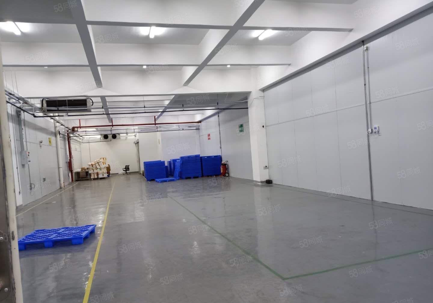 行业不限！ 东莞长安镇标准厂房出租，带红本可办环评，大小可分