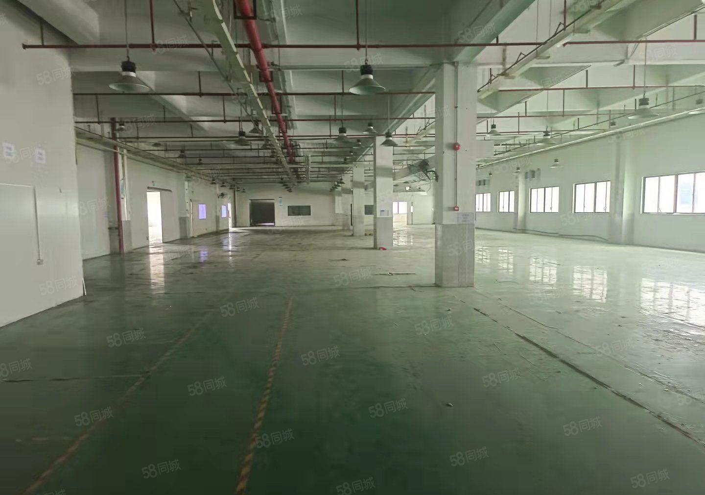 可办环评 长安镇宵边社区新空出二楼5000平方标准厂房出租