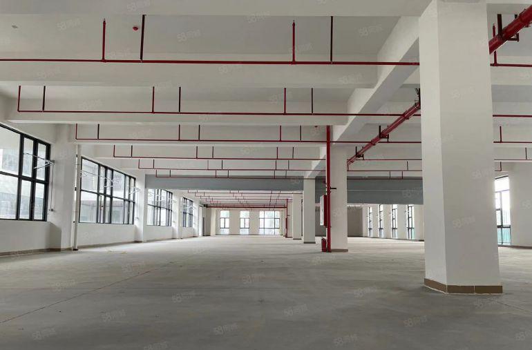 长安镇厦边15万平原房东全新红本厂房1000平起分价格美丽