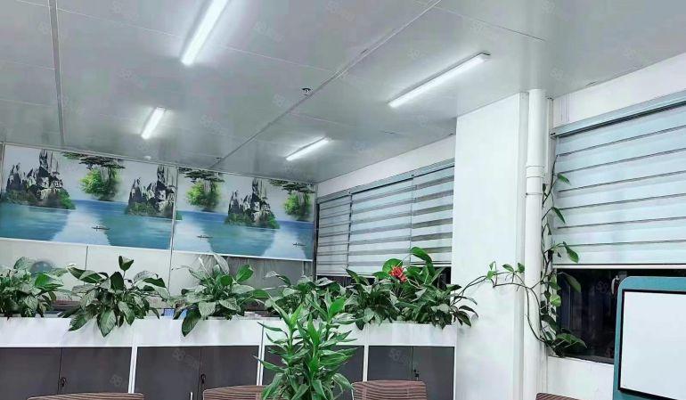 新出豪华装修标准厂房1500平低价出租，可分租。