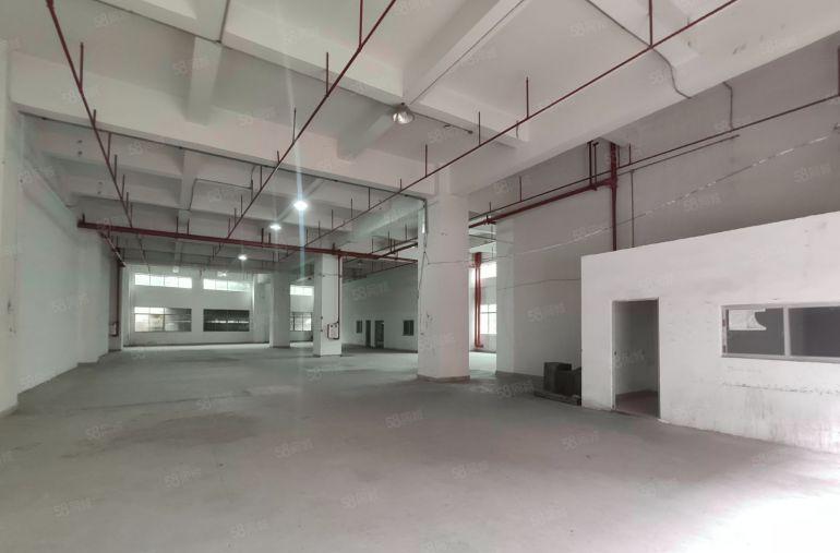 一楼1200平层高7米报价19块 长安厦岗低价工业厂房出租