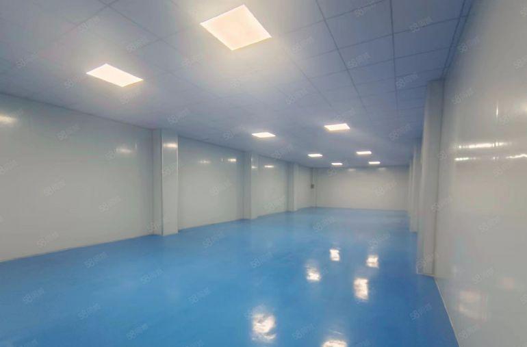 乌沙新出小面积230平全新无尘车间，