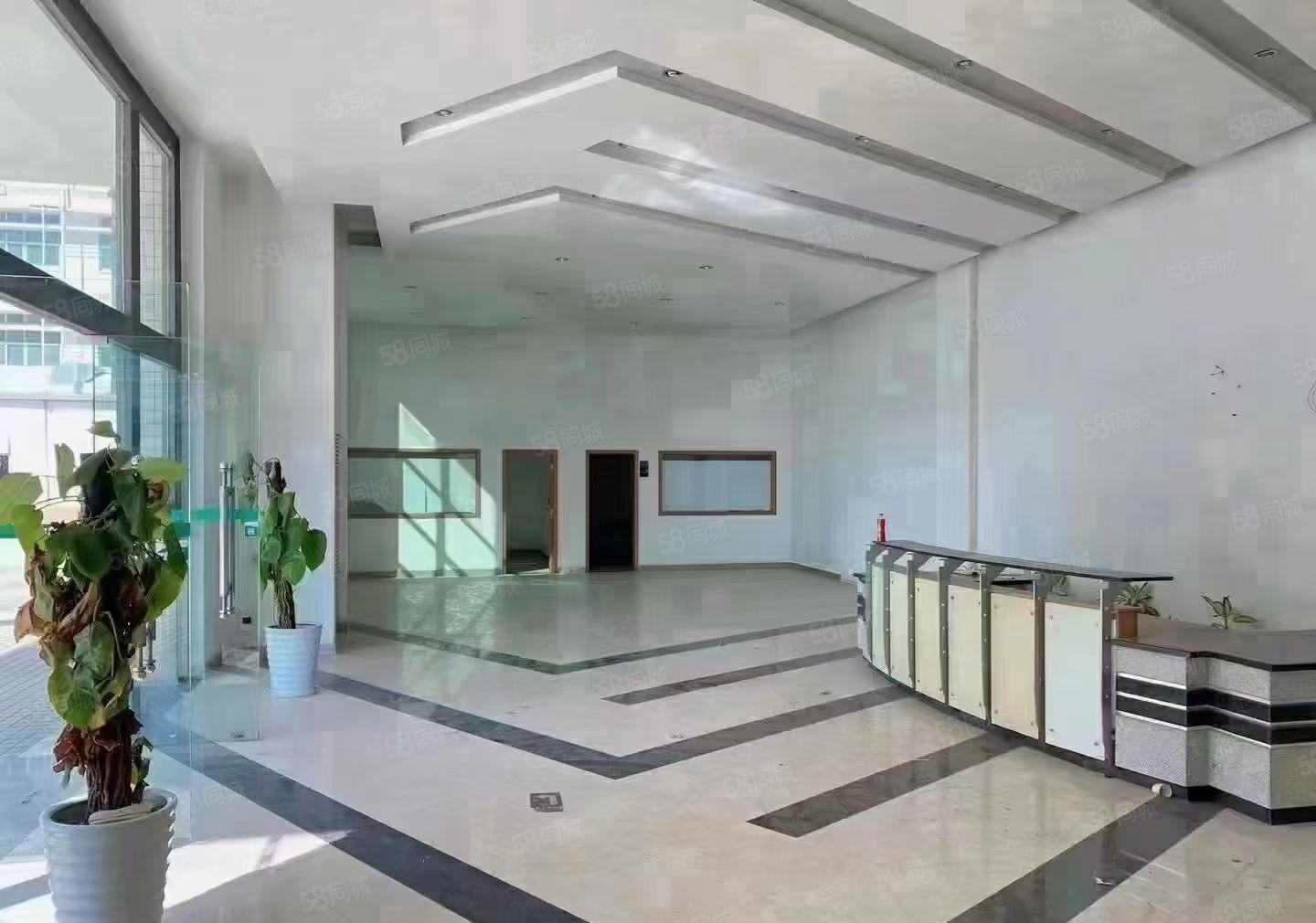 长安沙头大型电子厂房出租，面积30000平方米，可分租