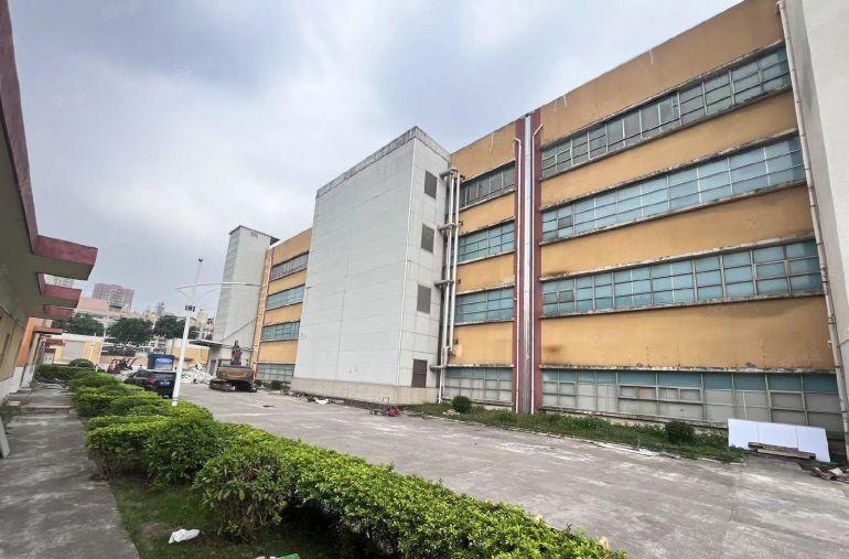 长安沙头高新产业园厂房出租，6栋每栋15000平可整租和分租