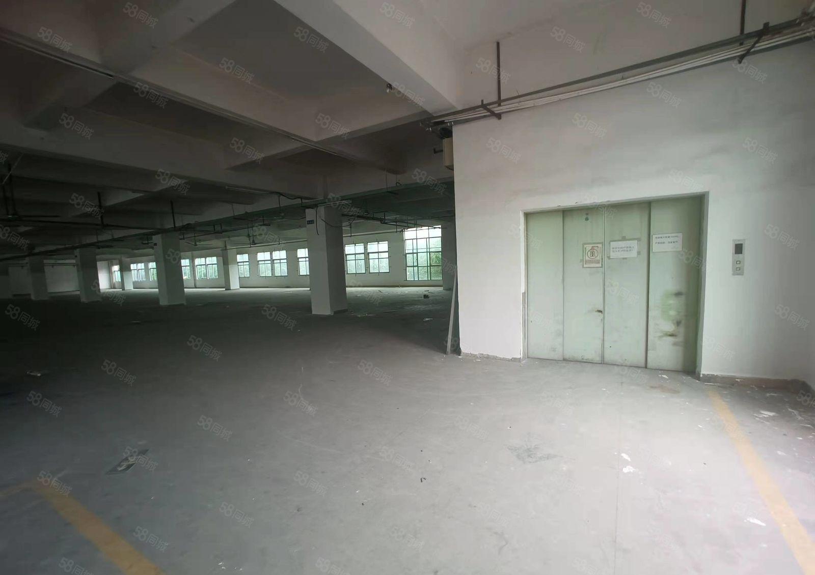 长安镇工业园区独栋标准厂房出租8000平米主干道边交通便利