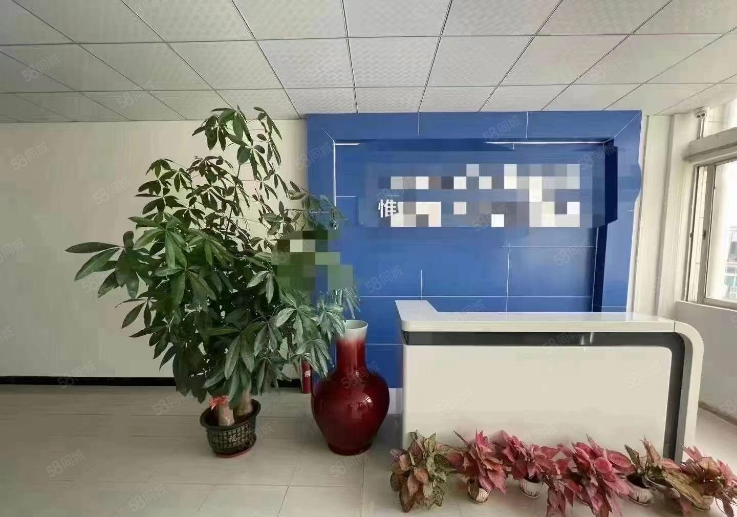 豪华装修水电齐全标准厂房一楼