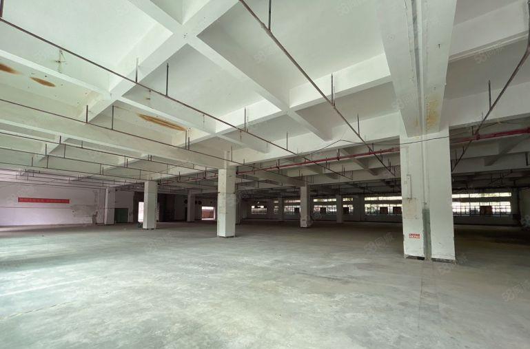 长安新出上市公司形象独门独院厂房招租可分租