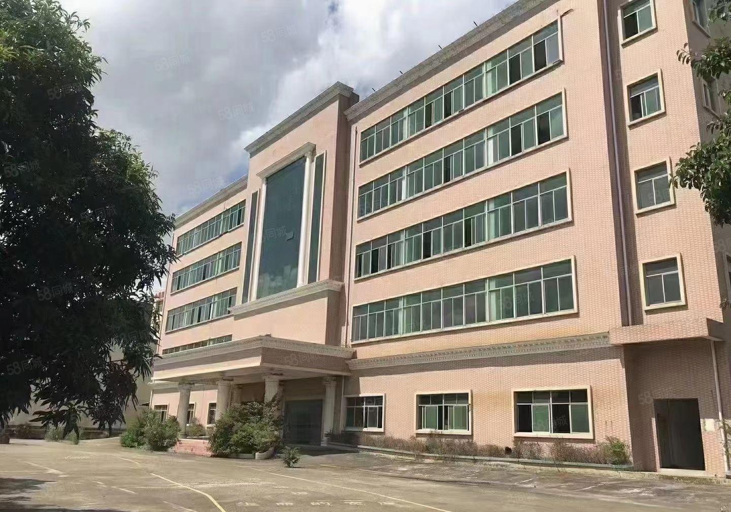 赠！免租期 长安镇新出标准厂房500~20000平大小随意分