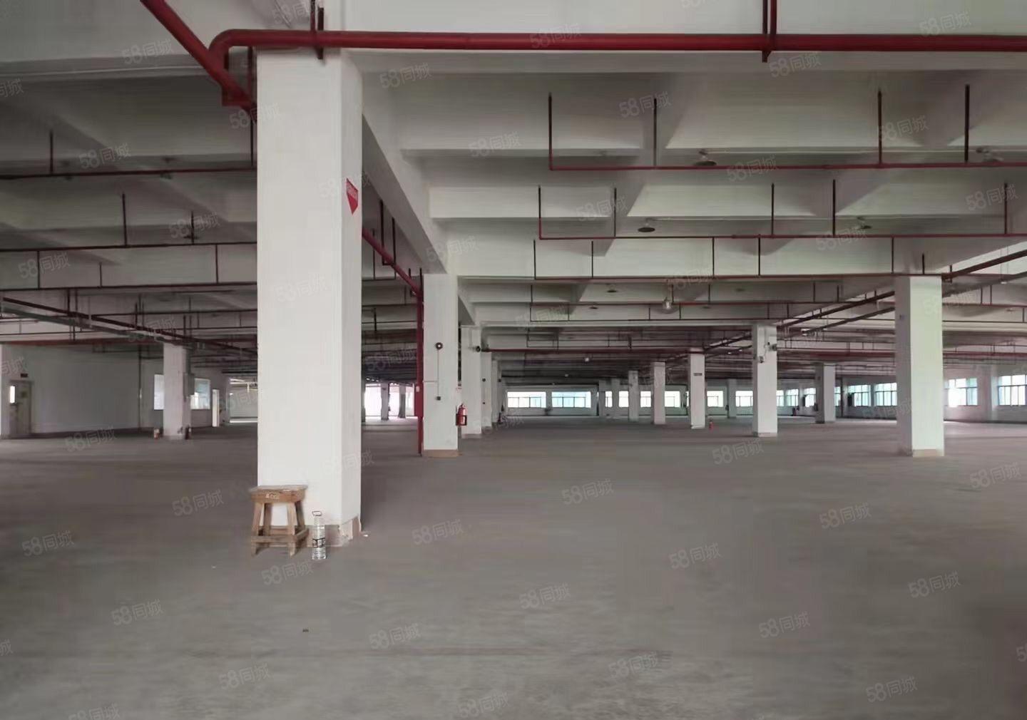 长安原房东红本独院出租大小可分租