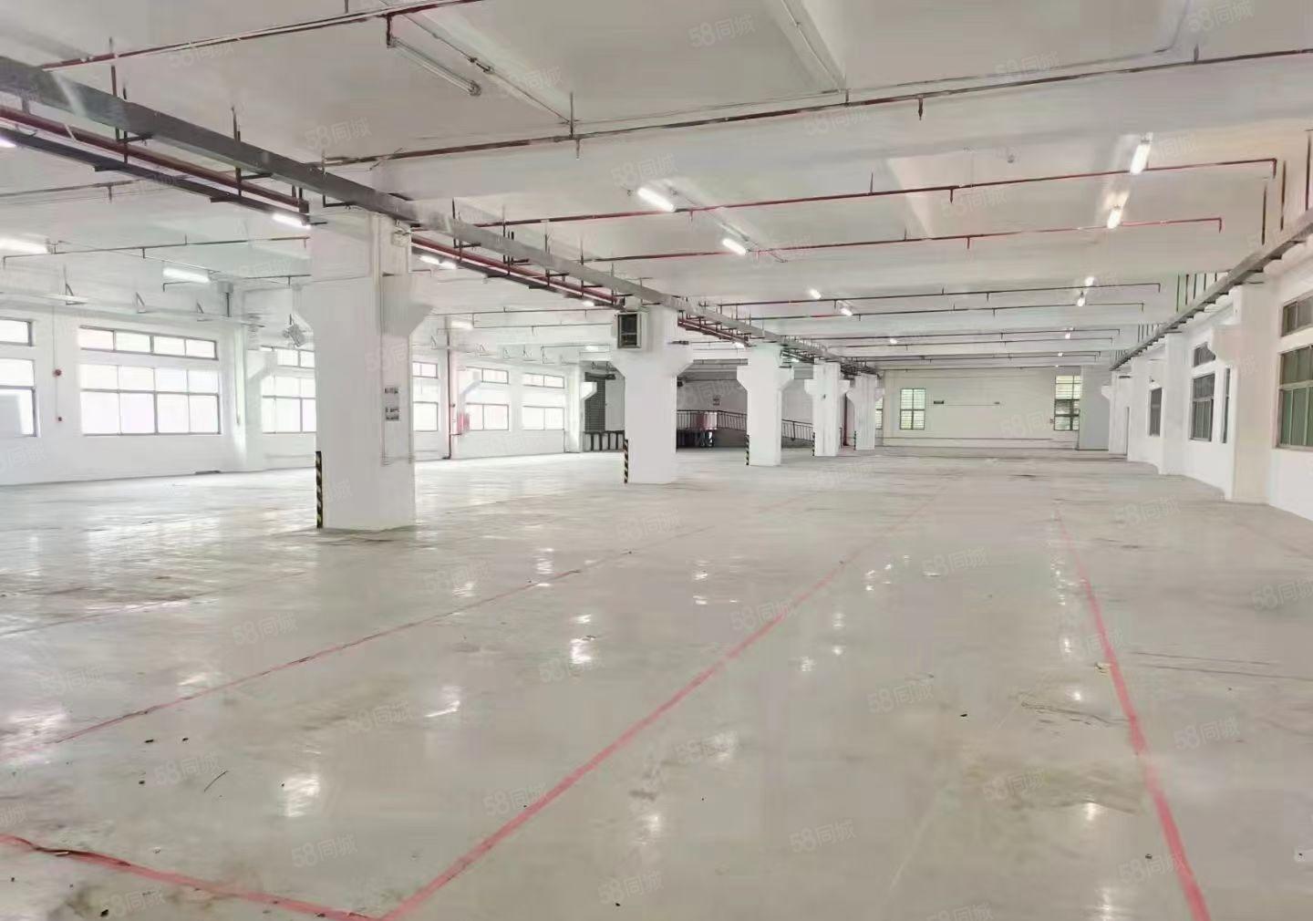 长安沙头大型电子厂房出租，面积30000平方米，可分租
