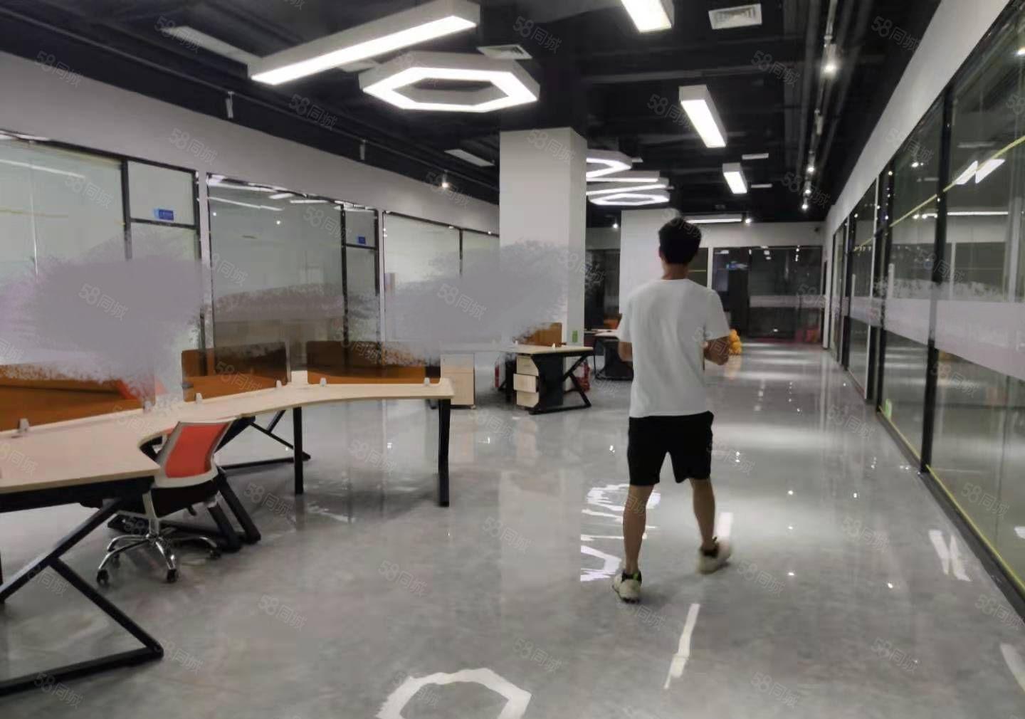 豪华装修水电齐全标准厂房出租整层