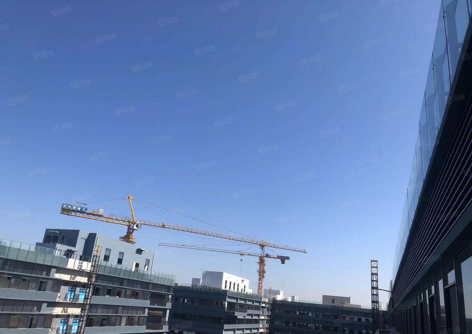 全新厂房 开发商直租 16元月起