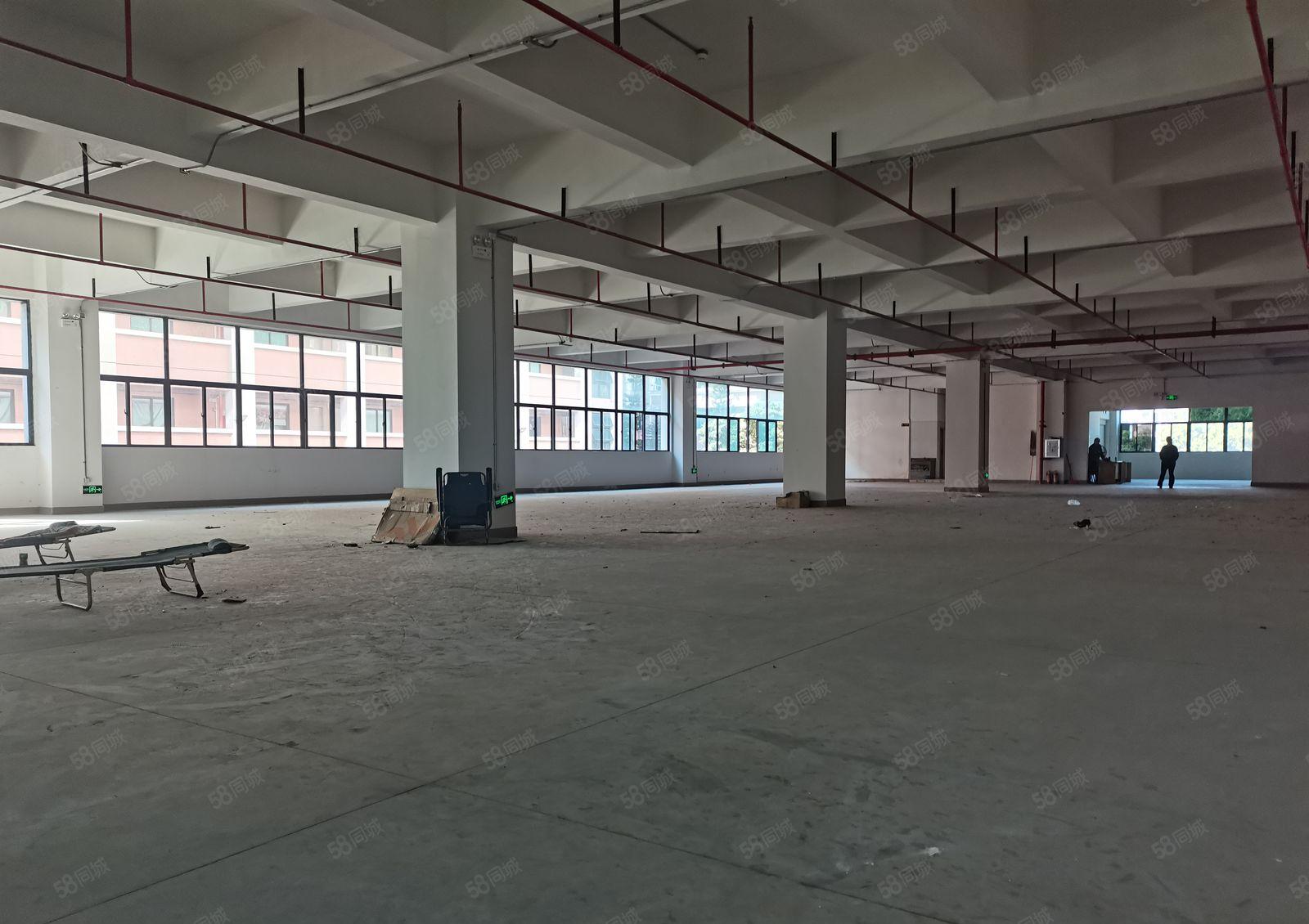 原房东招租 长安镇乌沙社区厂房二楼1000平方出租 可办环评