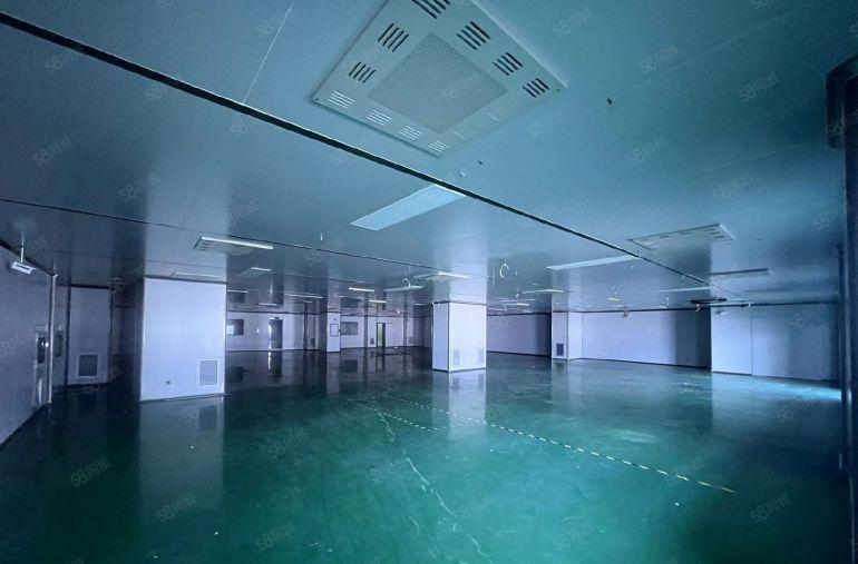 （花园厂房，无尘车间）长安宵边新出楼上精装修厂房1500平！