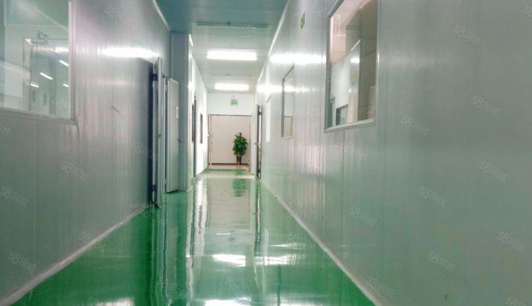 长安街口无尘车间厂房2400平，2部3吨货梯紧靠广深高速路口