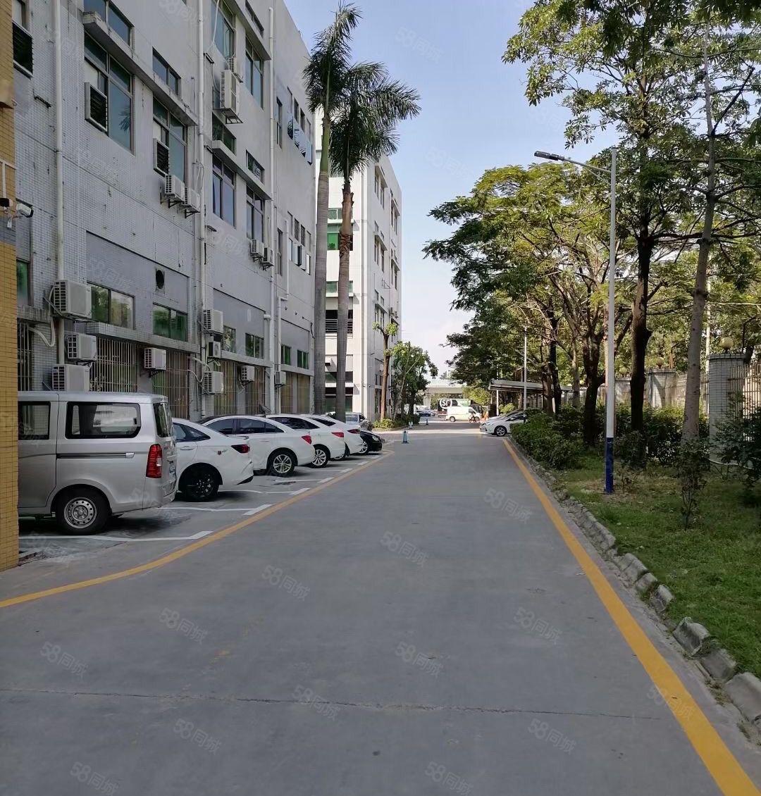 长安沙头无尘车间1380平厂房出租