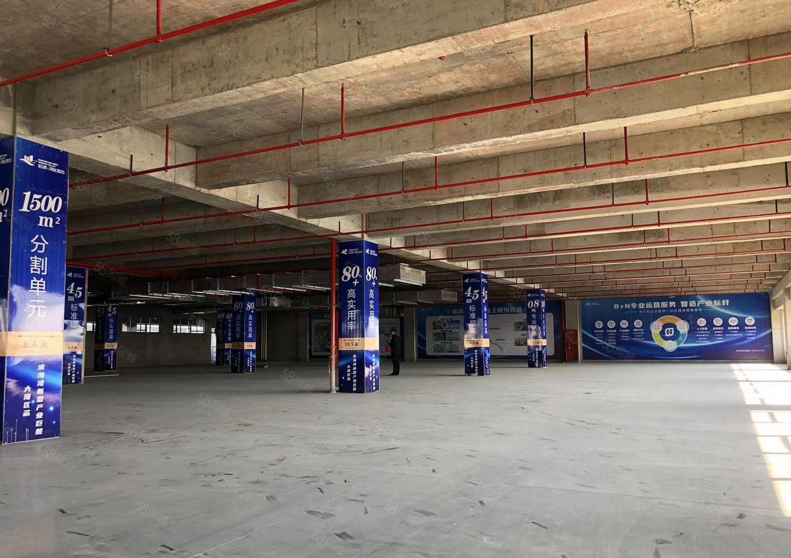 全新厂房 开发商直租 16元月起