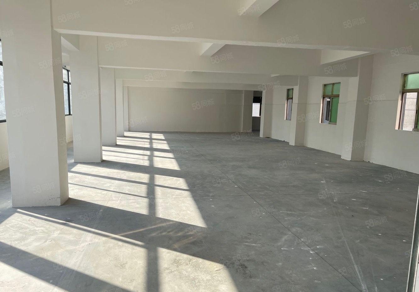 沙头标准厂房 特价12元起 带空地装修 大小可分 适合轻工业