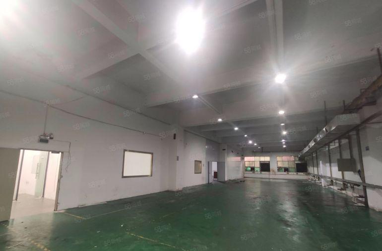 长安沙头一楼1000平方精装修工业厂房出租