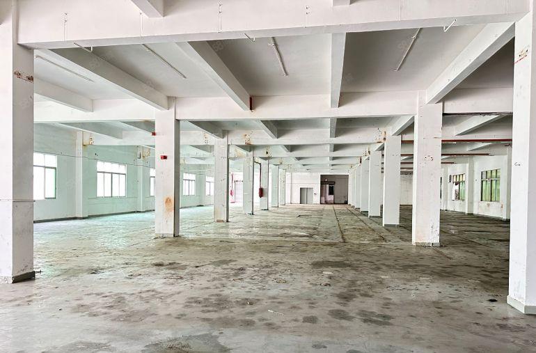 东莞长安沙头社区 长安万达厦岗 霄边厂房独门独院出租