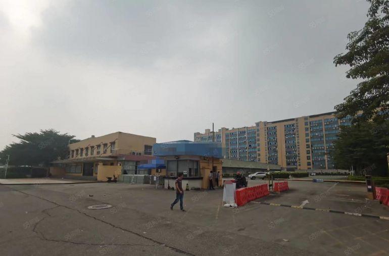 长安沙头高新产业园厂房出租，6栋每栋15000平可整租和分租