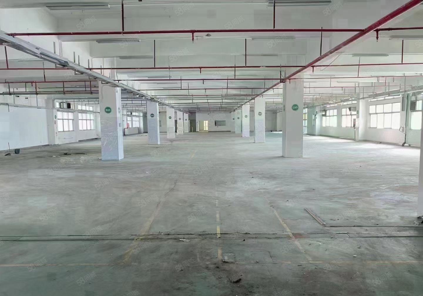 长安沙头大型电子厂房出租，面积30000平方米，可分租