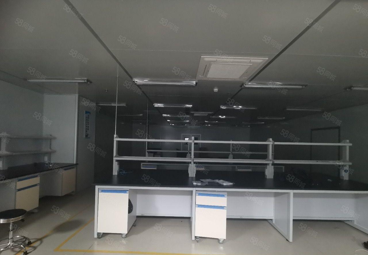 长安镇沙头社区新出无尘车间二楼一整层3900平方