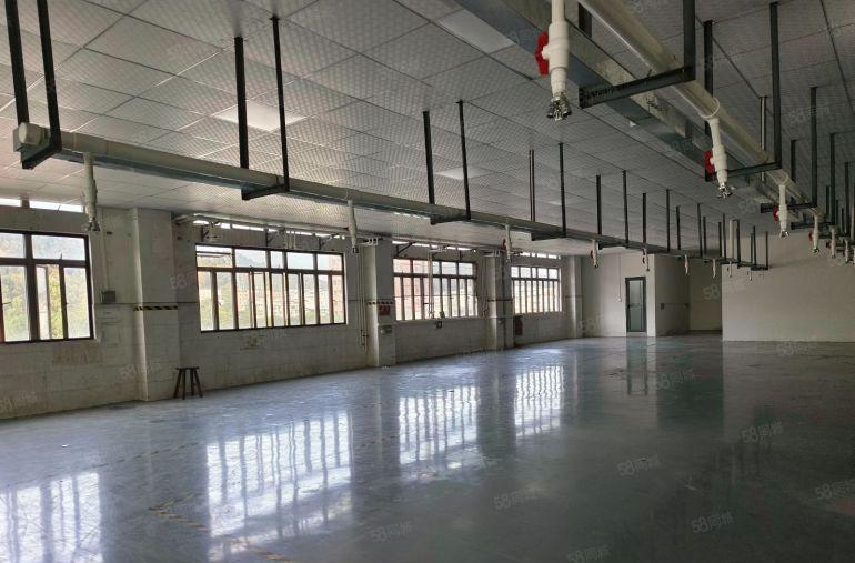 长安增田新出楼上1150平方豪华装修.拎包入驻标准厂房出租