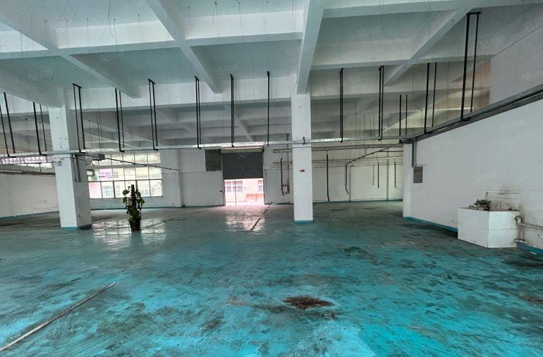 沙头新空精装修六米高一楼标准厂房招租可分租