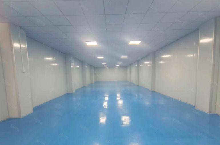 乌沙新出小面积230平全新无尘车间，