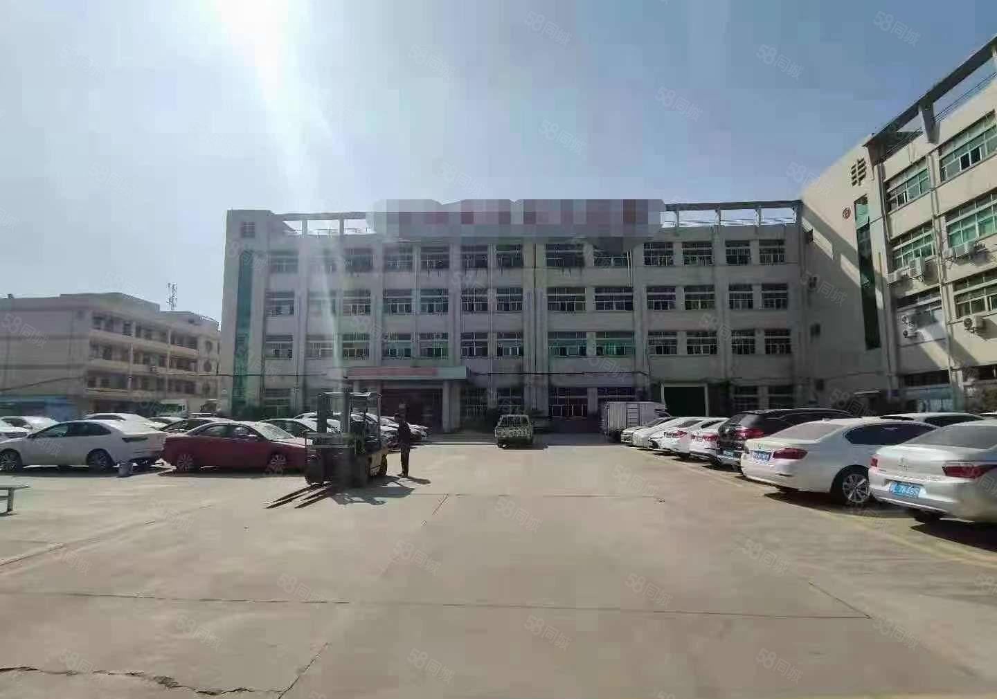 急租，低租金 长安镇锦厦新出楼上厂房11000平出租 可分租