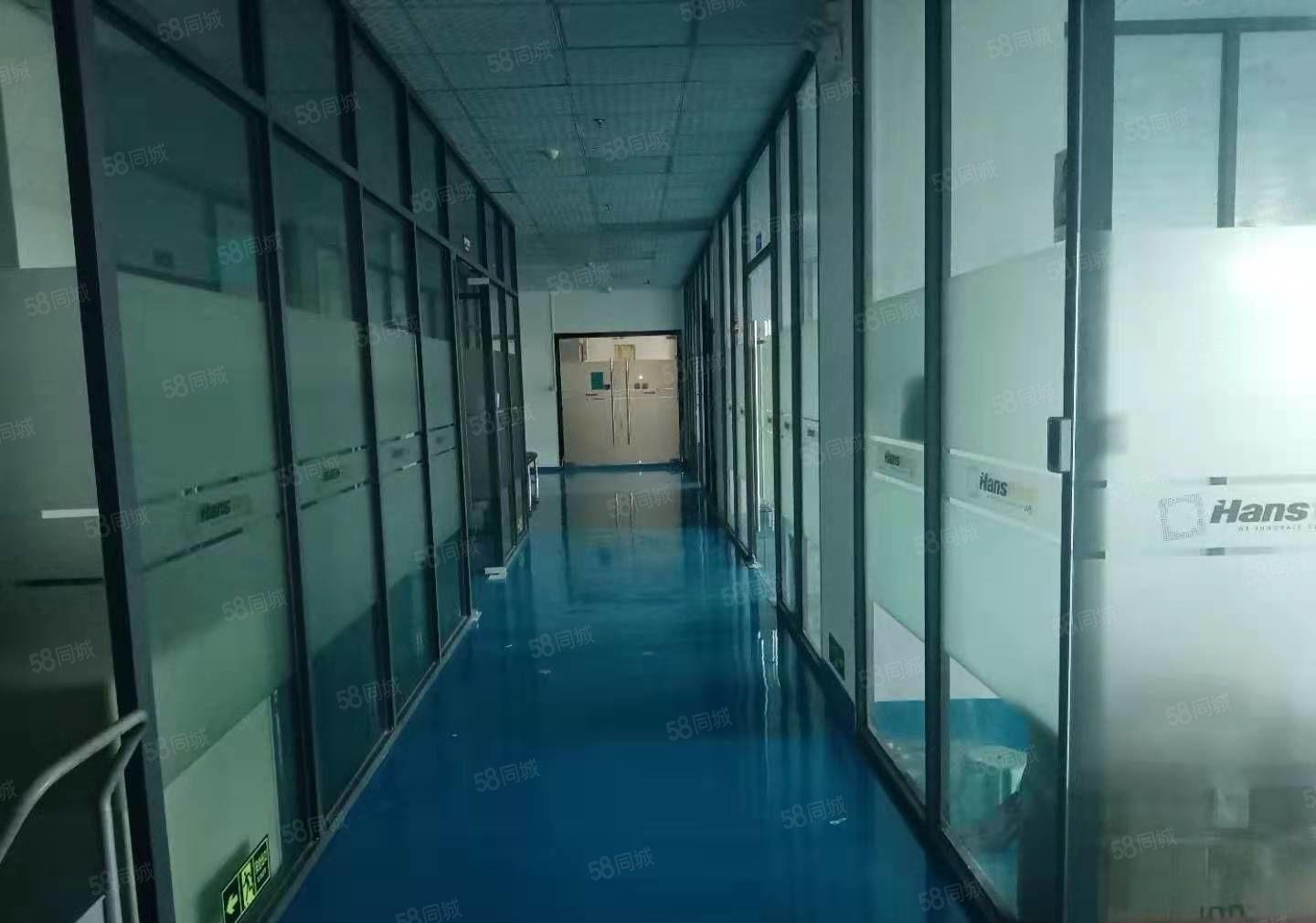 长安上沙新出楼上全新地坪漆豪华精装修900平方厂房出租