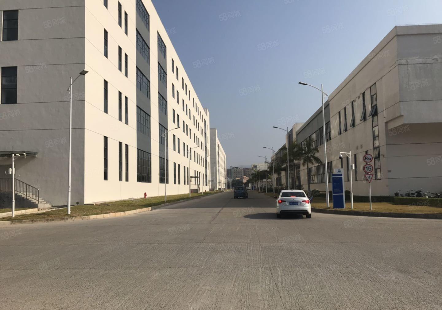 新出长安沿江高速口三万平高端红本厂房分租上市公司形象