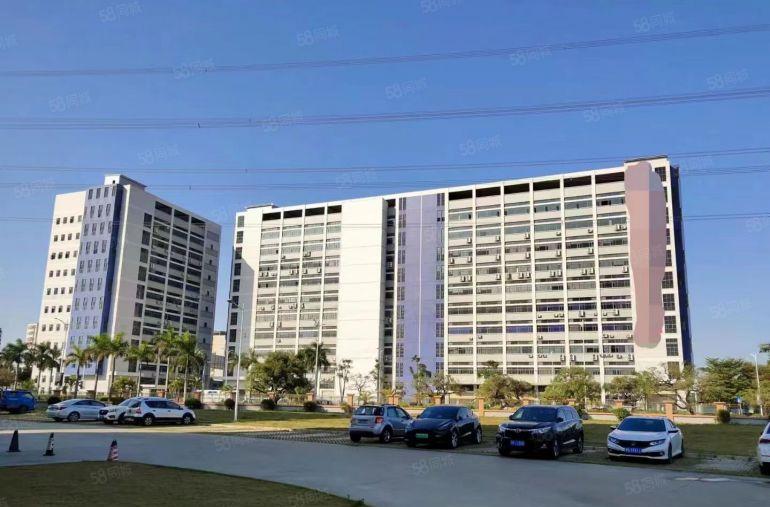 长安上沙一楼2500平标准厂房出租形象好带装修沿江高速附近