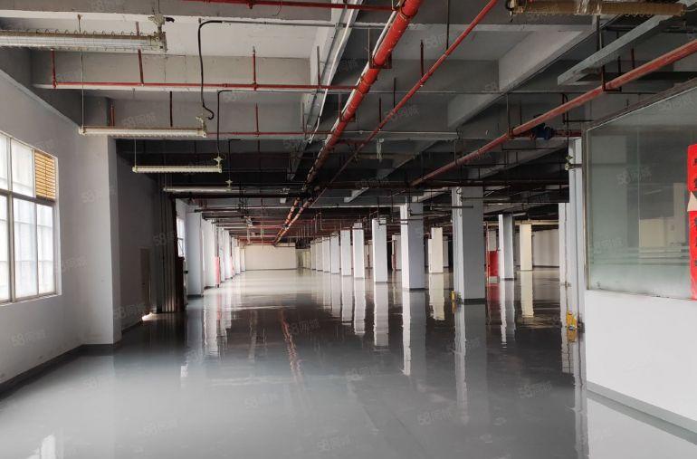 长安4560平全新地坪漆厂房业主直租，可分租价格便宜