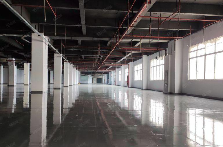 长安4560平全新地坪漆厂房业主直租，可分租价格便宜