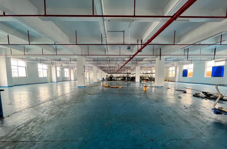 长安沙头精装修1500平厂房出租 可分租 模具 五金