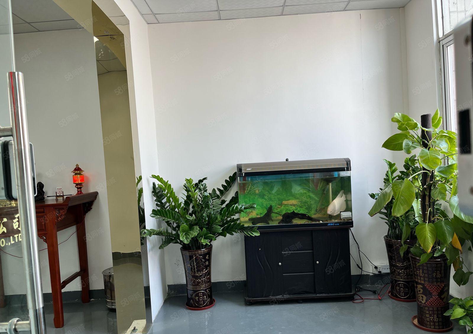 长安乌沙原房东 500平厂房出租 水电齐全 可分租