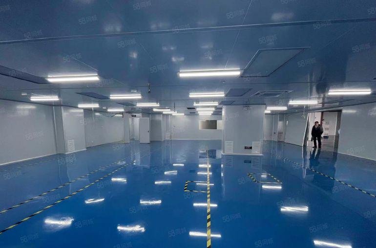 长安无尘车间出租水电齐全现成装修无转让费园区形象好车位充足