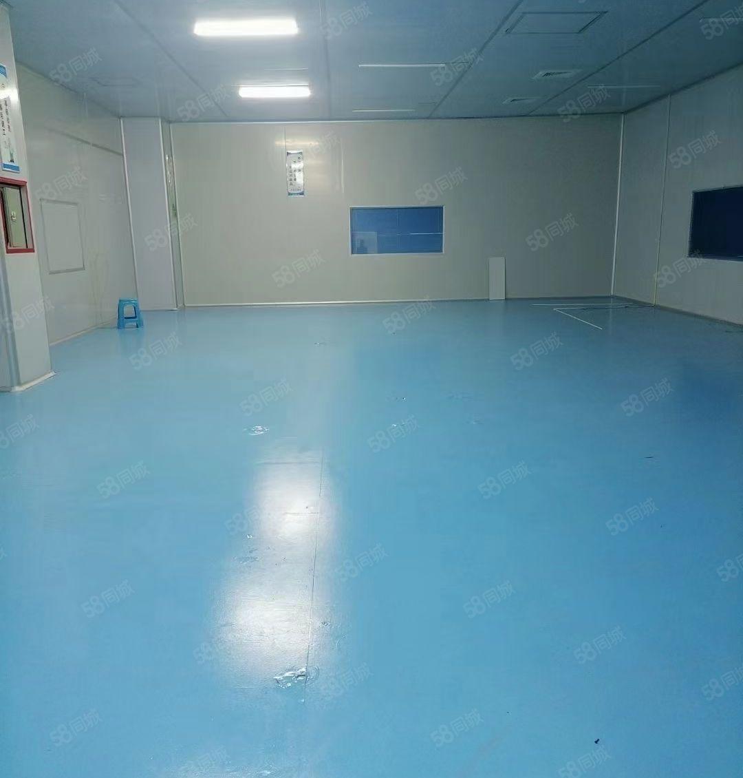 长安上沙厂房出租新空楼上无尘车间1380平