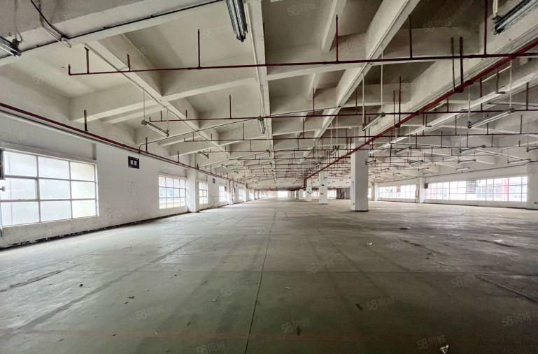 仓库 长安沙头 沿江高速3000平厂房出租 可分租 低价出租