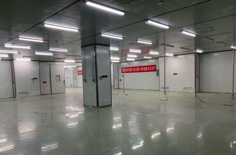 8元价格可谈原房东长安虎门1000平方精装修厂房出租可分租